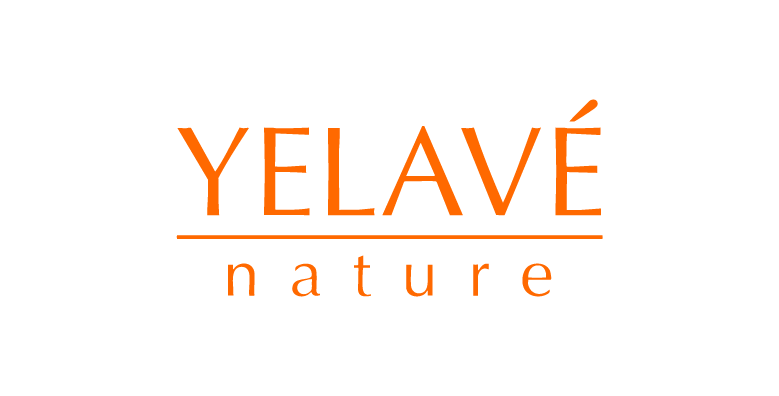 YELAV.png